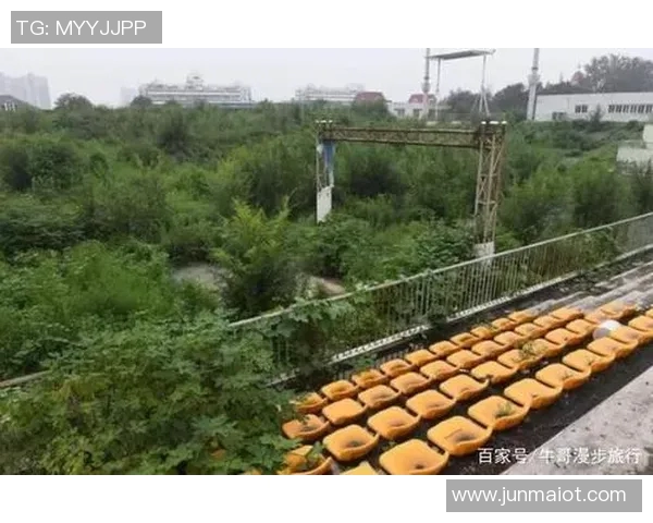 当年绿茵场上万人追捧的巨星如今却在寂静看台回望昔日辉煌